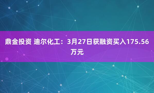 鼎金投资 迪尔化工：3月27日获融资买入175.56万元